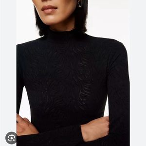 Aritzia Lace Sheer Long-sleeve top